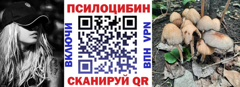 что такое   Тайга  Псилоцибиновые грибы прущие грибы 